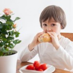 How To Handle a Picky Eater