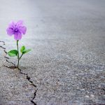 Why Raising a Resilient Child Matters