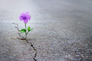 Why raising a resilient child matters